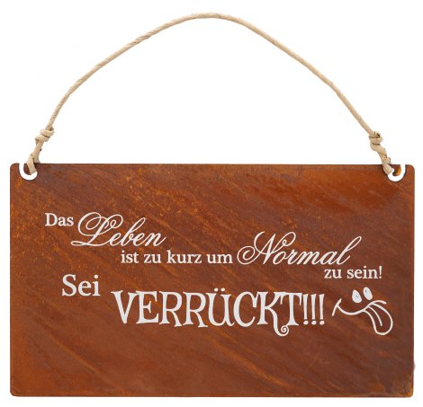 Gartenschild Verrückt 35x20 cm (BxH)