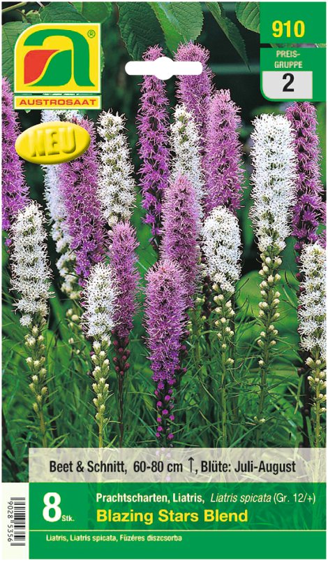 Liatris Blazing Stars Blend