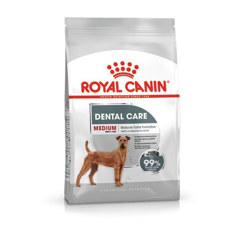 ROYAL CANIN Hundetrockenfutter Medium Dental Care 10 kg
