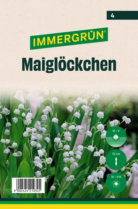 IMMERGRÜN Blumenzwiebel Frühjahr Mai-Glocke Conv