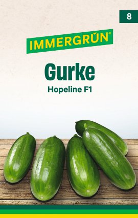 IMMERGRÜN Tütensamen Gurke Hopeline F1
