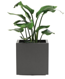 EURO3PLAST Pflanzenkasten Kebe Anthrazit