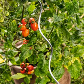 WINDHAGER Tomatenspiralstab 180 cm, gerippt