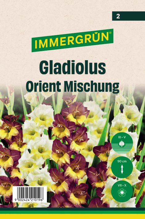 IMMERGRÜN Blumenzwiebel Frühjahr Gla Ori Mix