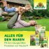 Bild vergrößern