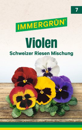 IMMERGRÜN Tütensamen Violen Schweizer Riesen Mischung