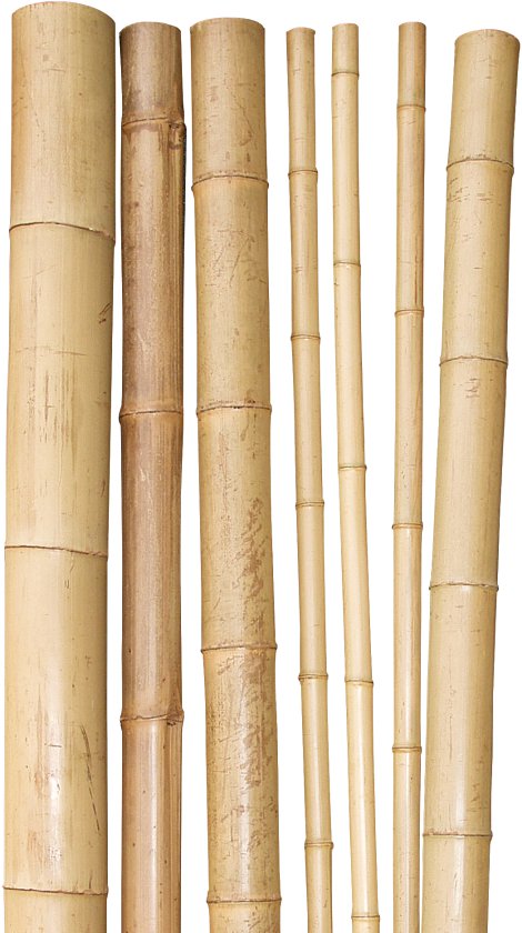 WINDHAGER Bambusrohr 200 x 3-4 cm