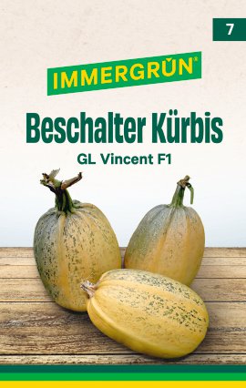 IMMERGRÜN Tütensamen Beschalter Kürbis GL Vincent F1