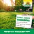 Bild vergrößern