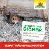 Bild vergrößern
