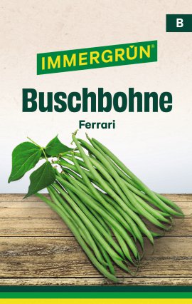 IMMERGRÜN Tütensamen Buschbohne Ferrari