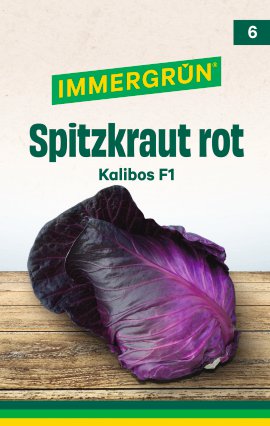 IMMERGRÜN Tütensamen Spitzkraut rot Kalibos F1