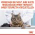 Bild vergrößern