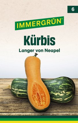IMMERGRÜN Tütensamen Speisekürbis Langer von Neapel