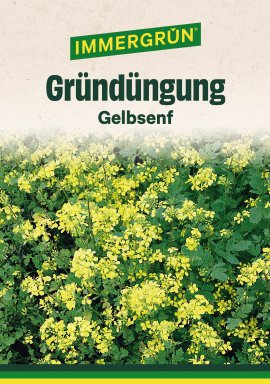 IMMERGRÜN Tütensamen Gelbsenf 80 g