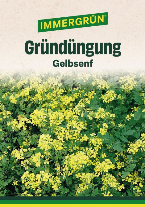 IMMERGRÜN Tütensamen Gelbsenf 80 g