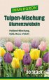 IMMERGRÜN Blumenzwiebel Tulpen Mischung