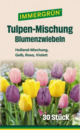 IMMGERGRÜN Blumenzwiebel Tulpen Mischung