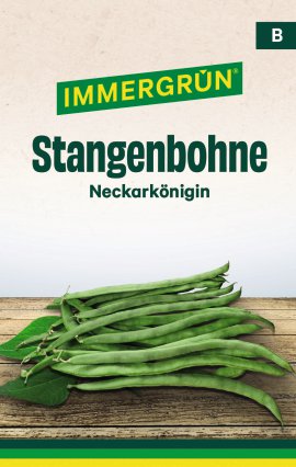 IMMERGRÜN Tütensamen Stangenbohne Neckarkönigin