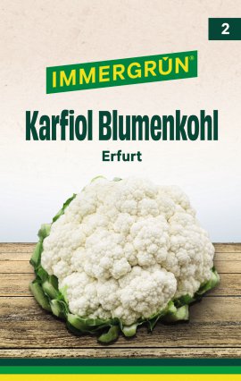 IMMERGRÜN Tütensamen Karfiol (Blumenkohl) Erfurt