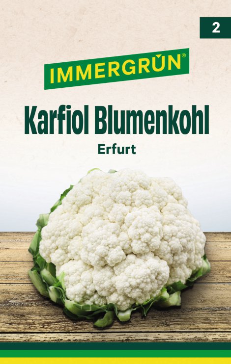 IMMERGRÜN Tütensamen Karfiol Blumenkohl Erfurt