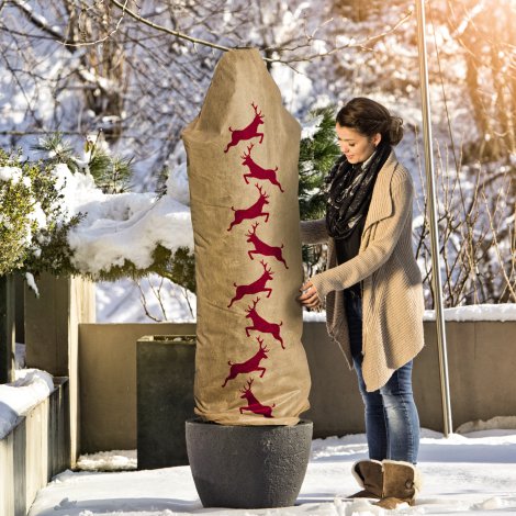 WINDHAGER Tomaten-Folientunnelset