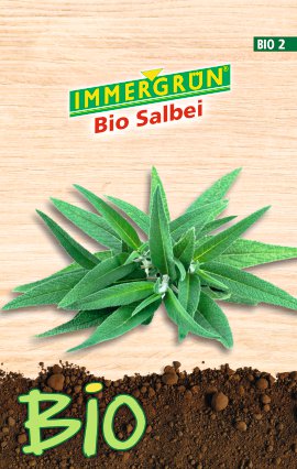 IMMERGRÜN Bio Salbei