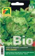 Bild vergrößern