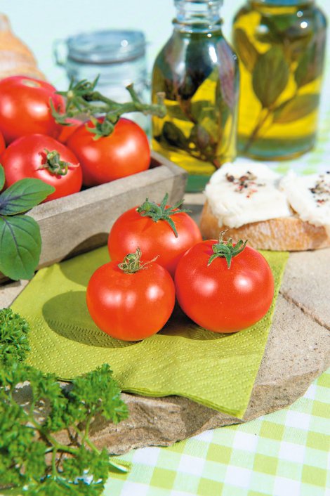Bio Buschtomate