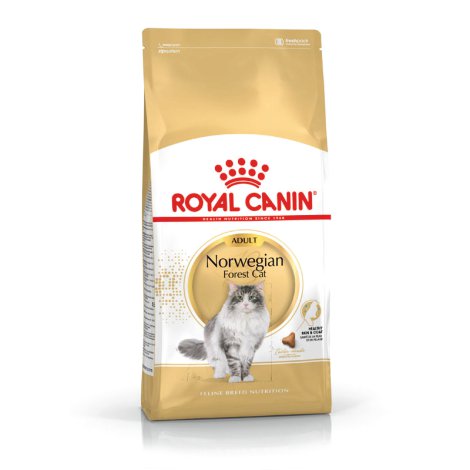 ROYAL CANIN Katzentrockenfutter Norwegische Waldkatze Adult 2 kg