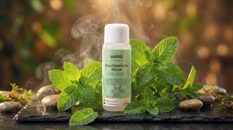 WEKA Sauna- & Dampfbadduft Marokkanische Minze 250 ml
