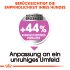 Bild vergrößern