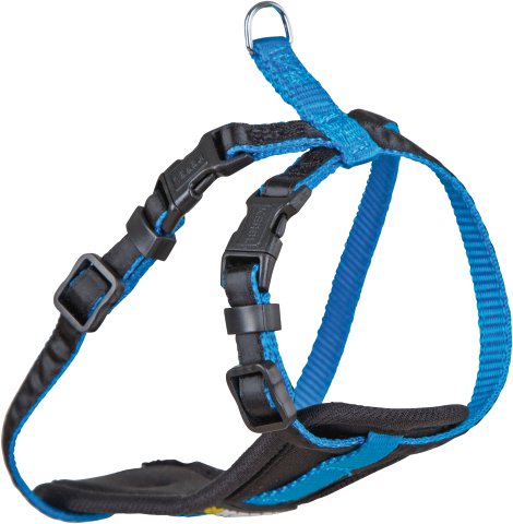Geschirr für kleine Hunde, blau XS