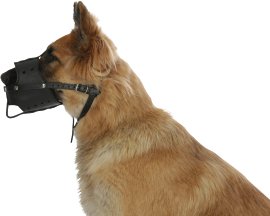 Maulkorb Leder, schwarz