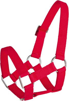 Kopfhalter für Schaf, rot