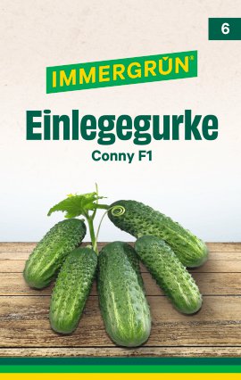 IMMERGRÜN Einlegegurke Conny F1