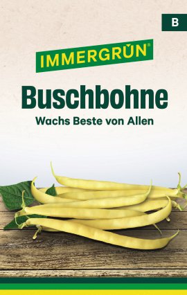 IMMERGRÜN Tütensamen Buschbohne Wachs Beste von Allen