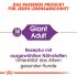 Bild vergrößern