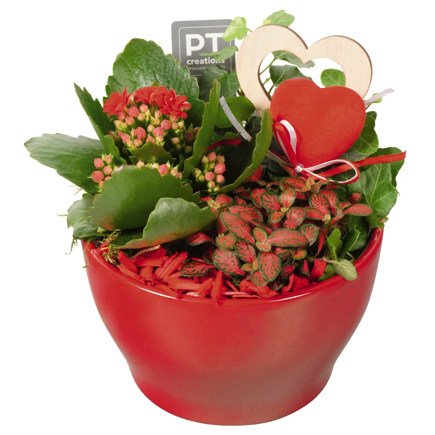 Arrangement Valentin Schale Keramik