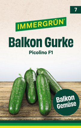 IMMERGRÜN Tütensamen Gurke Picolino F1