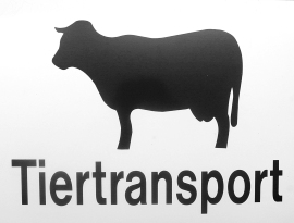 Schild Tiertransport