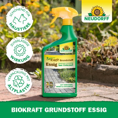 NEUDORFF BioKraft Grundstoff Essig 1 l