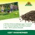 Bild vergrößern