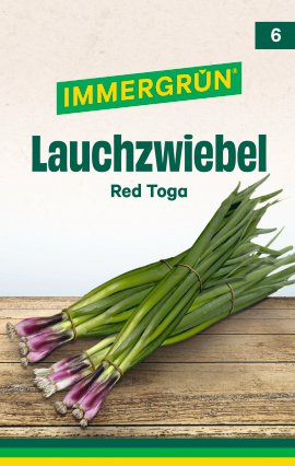 IMMERGRÜN Tütensamen Jungzwiebel Red Toga