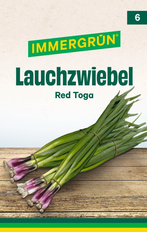 IMMERGRÜN Tütensamen Jungzwiebel Red Toga