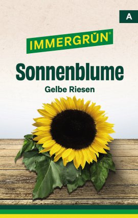 IMMERGRÜN Tütensamen Sonnenblume Gelbe Riesen