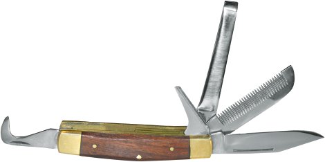 Reitmesser mit Holzgriff 5-tlg. 10 cm
