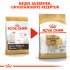 Bild vergrößern