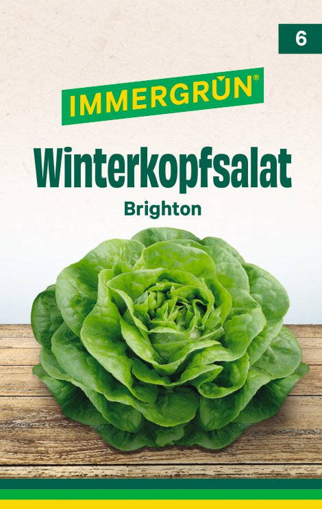 IMMERGRÜN Tütensamen Winterkopfsalat Brighton