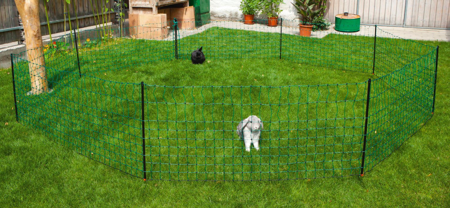 Kaninchennetz mit Einzelspitze